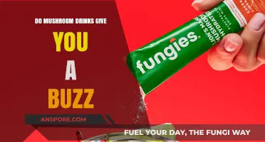 Do Mushroom Drinks Deliver a Buzz? Exploring Their Effects and Benefits