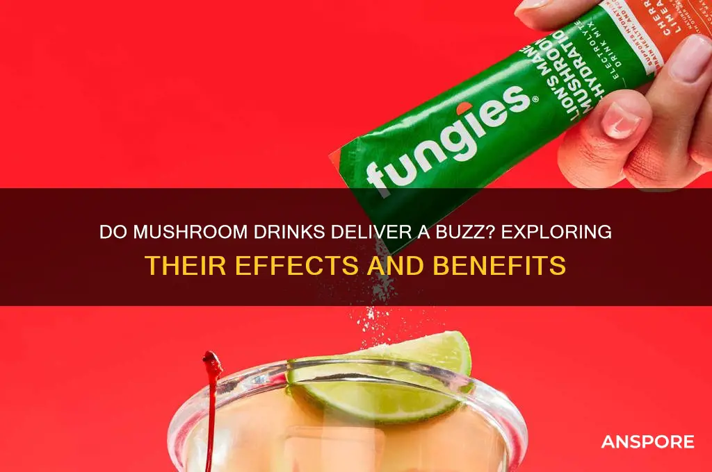 do mushroom drinks give you a buzz