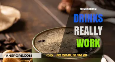 Mushroom Drinks: Effective or Just a Fad?