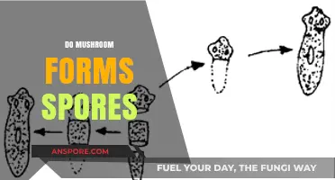 Do Mushrooms Form Spores? Unveiling the Fungal Reproduction Mystery