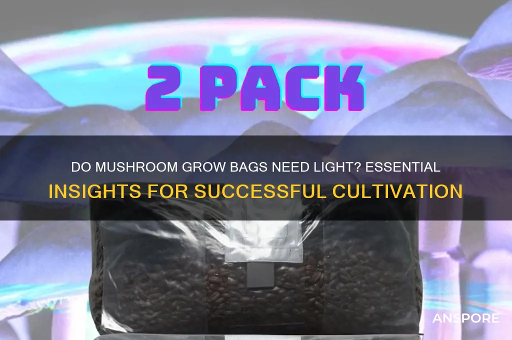 do mushroom grow bags need light