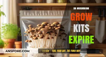 Do Mushroom Grow Kits Expire? Shelf Life and Freshness Tips