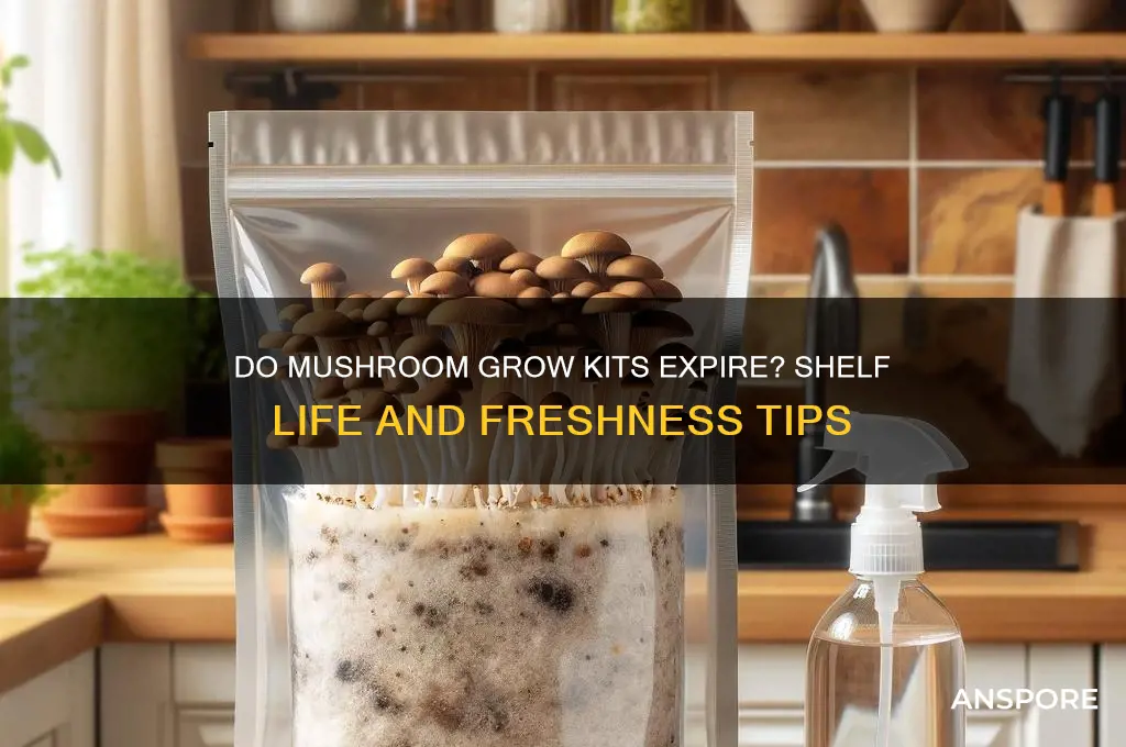 do mushroom grow kits expire