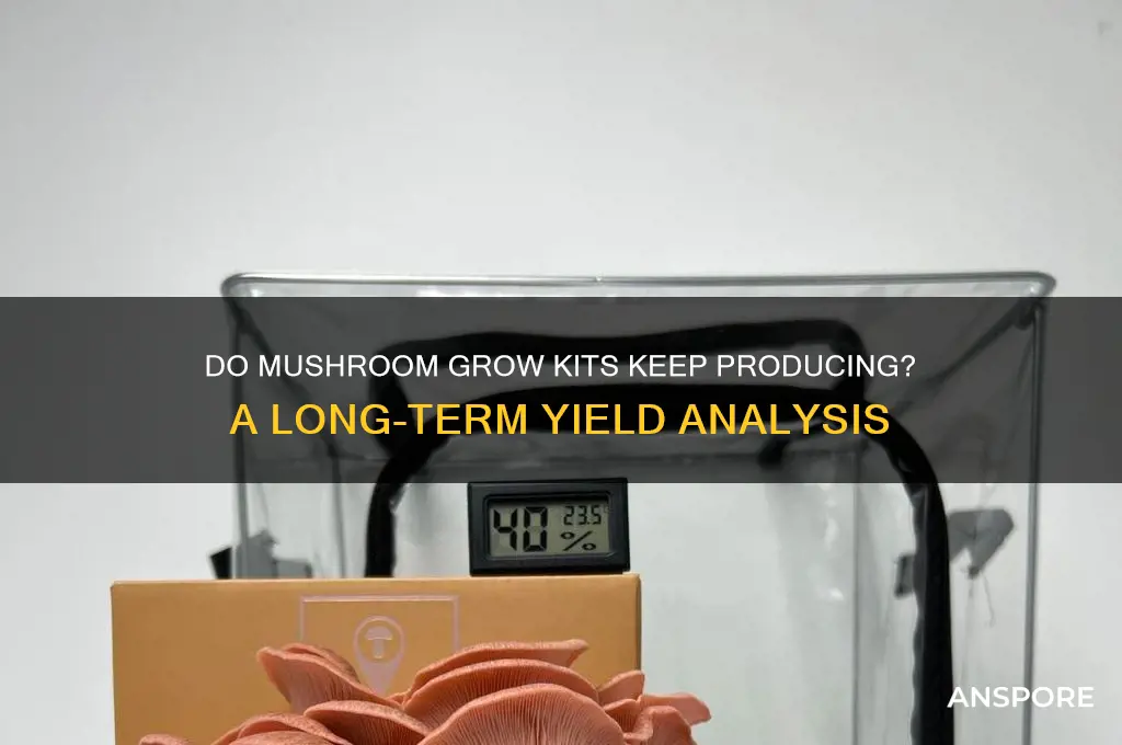 do mushroom grow kits keep producing
