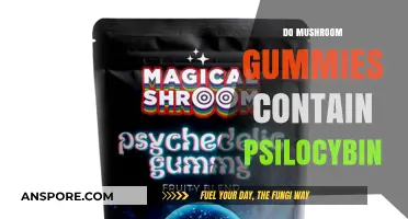 Mushroom Gummies and Psilocybin: What's the Link?