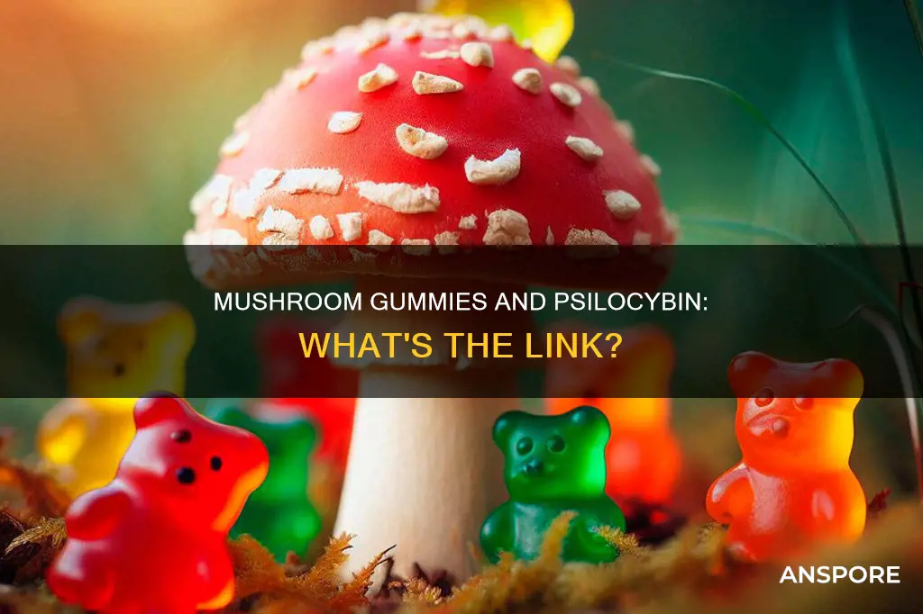 do mushroom gummies contain psilocybin