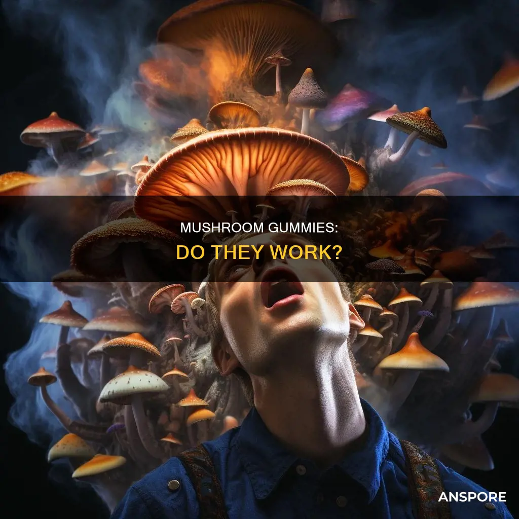 do mushroom gummies do anything