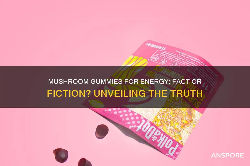 do mushroom gummies give you energy