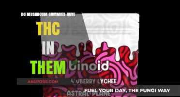 Do Mushroom Gummies Contain THC? Unraveling the Facts and Myths