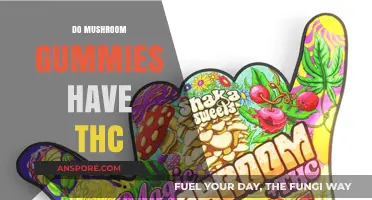 Mushroom Gummies: Do They Contain THC?