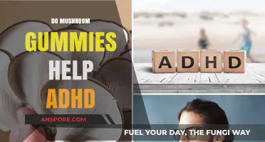 Mushroom Gummies: A Natural Remedy for ADHD?