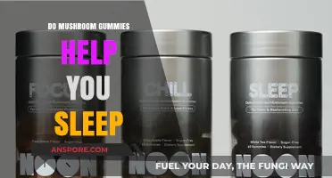 Mushroom Gummies for Sleep: Do They Really Help You Rest?