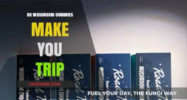 Do Mushroom Gummies Cause Psychedelic Trips? Facts and Myths Explained