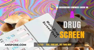 Mushroom Gummies and Drug Tests: Will They Trigger a Positive Result?