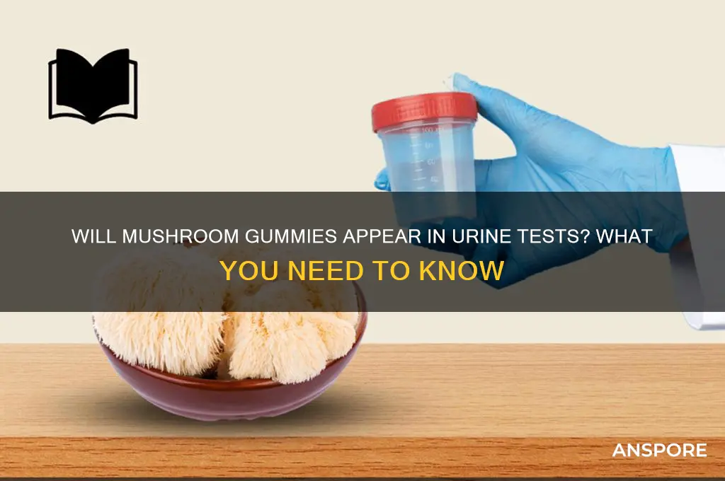 do mushroom gummies show up in urine test