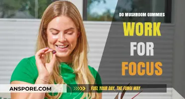 Do Mushroom Gummies Boost Focus? Unveiling the Truth Behind the Trend