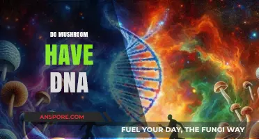 Mushrooms' DNA: Unlocking the Secrets of Fungi