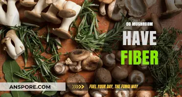Mushrooms: A Surprising Source of Fiber?