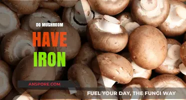 Mushrooms: A Rich Source of Iron?