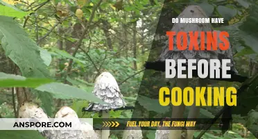 Are Mushrooms Toxic Before Cooking? Uncovering the Truth About Raw Fungi