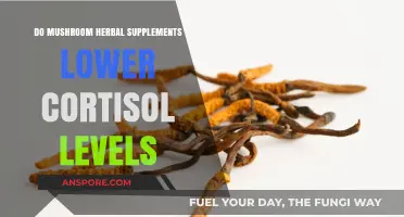 Can Mushroom Herbal Supplements Naturally Reduce Cortisol Levels? Exploring the Science