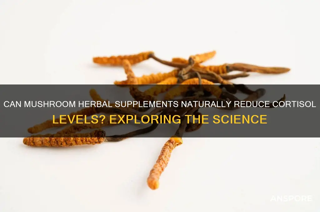 do mushroom herbal supplements lower cortisol levels