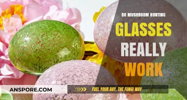 Do Mushroom Hunting Glasses Enhance Foraging Success? A Critical Review