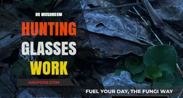 Do Mushroom Hunting Glasses Work?