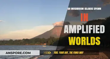 Do Mushroom Islands Spawn in Amplified Minecraft Worlds?