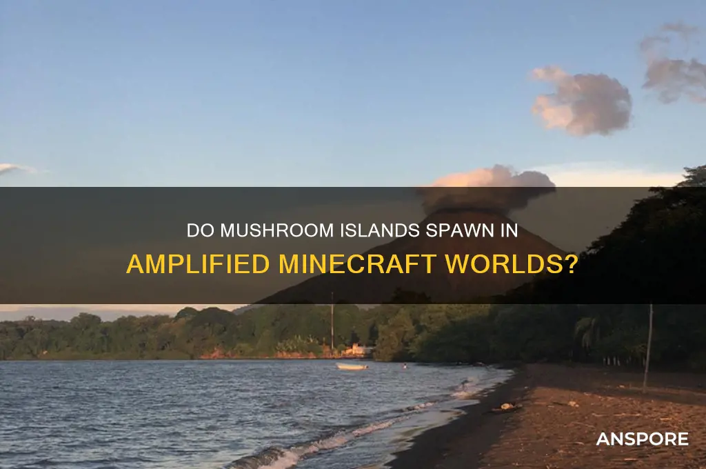 do mushroom islands spawn in amplified worlds