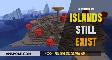 Exploring the Existence of Mushroom Islands
