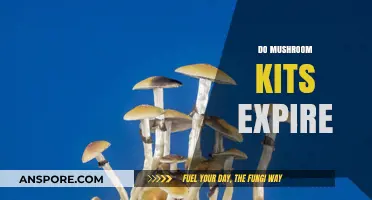 Mushroom Kits: Do They Expire?