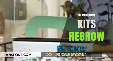 Mushroom Kits: Can They Regrow?