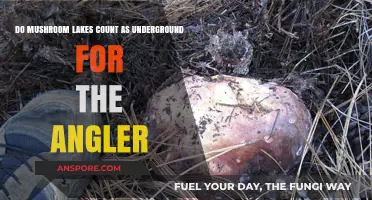 Mushroom Lakes: Underground or Not for Angler's Quest?