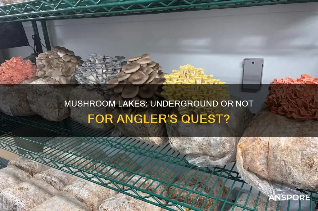 do mushroom lakes count as underground for the angler