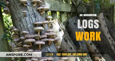 Mushroom Logs: Do They Work?