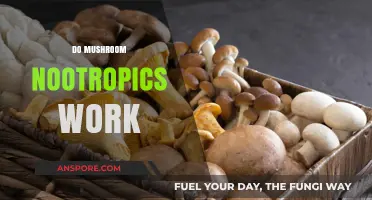 Mushroom Nootropics: Do They Work?