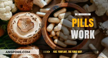 Mushroom Pills: Do They Work?