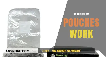 Mushroom Pouches: Do They Work?