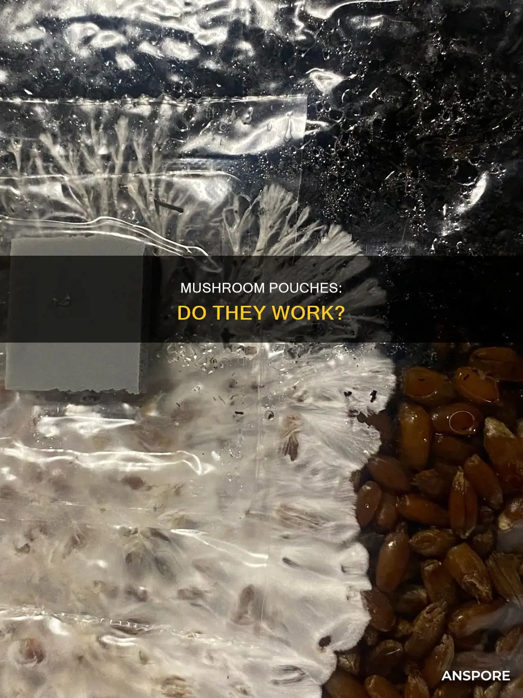 do mushroom pouches work