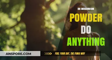 Mushroom Powder: Superfood or Super-Hype?