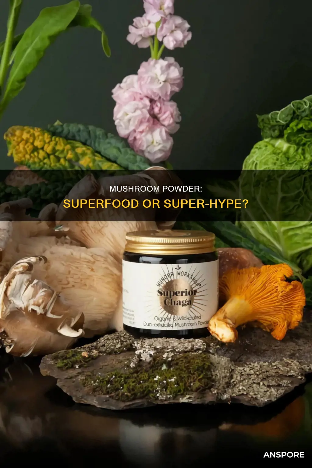 do mushroom powder do anything