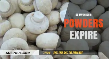 Mushroom Powders: How Long Do They Last?
