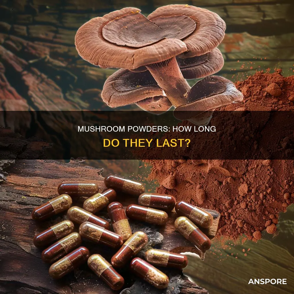 do mushroom powders expire