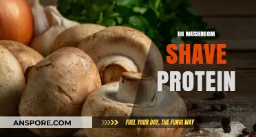Mushrooms: A Surprising Source of Protein?