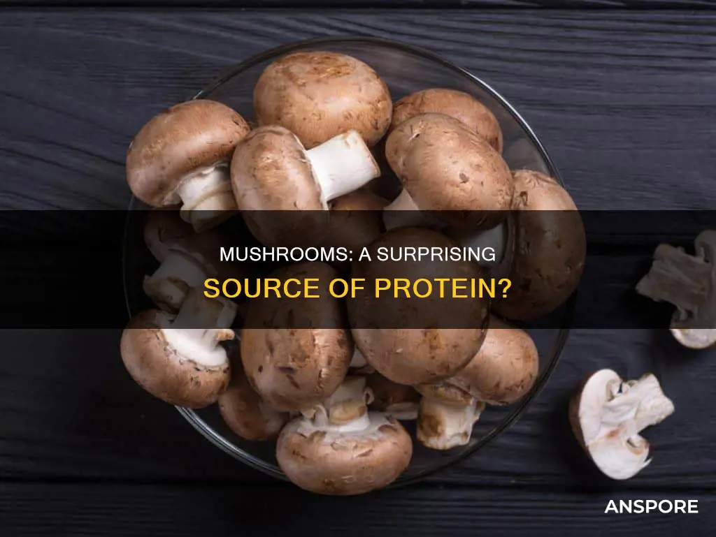 do mushroom shave protein