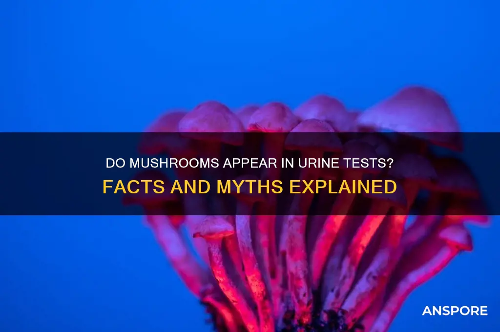 do mushroom show up in urine test