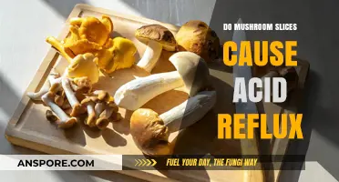 Mushroom Slices and Acid Reflux: Unraveling the Connection