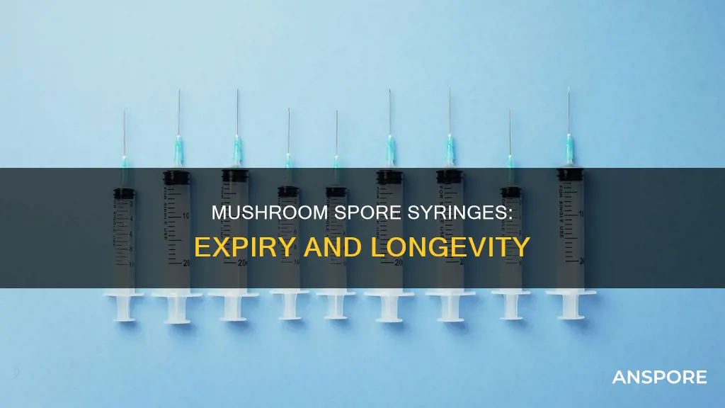 do mushroom spore syringes expire