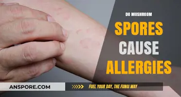 Mushroom Spores: Allergy Triggers or Not?